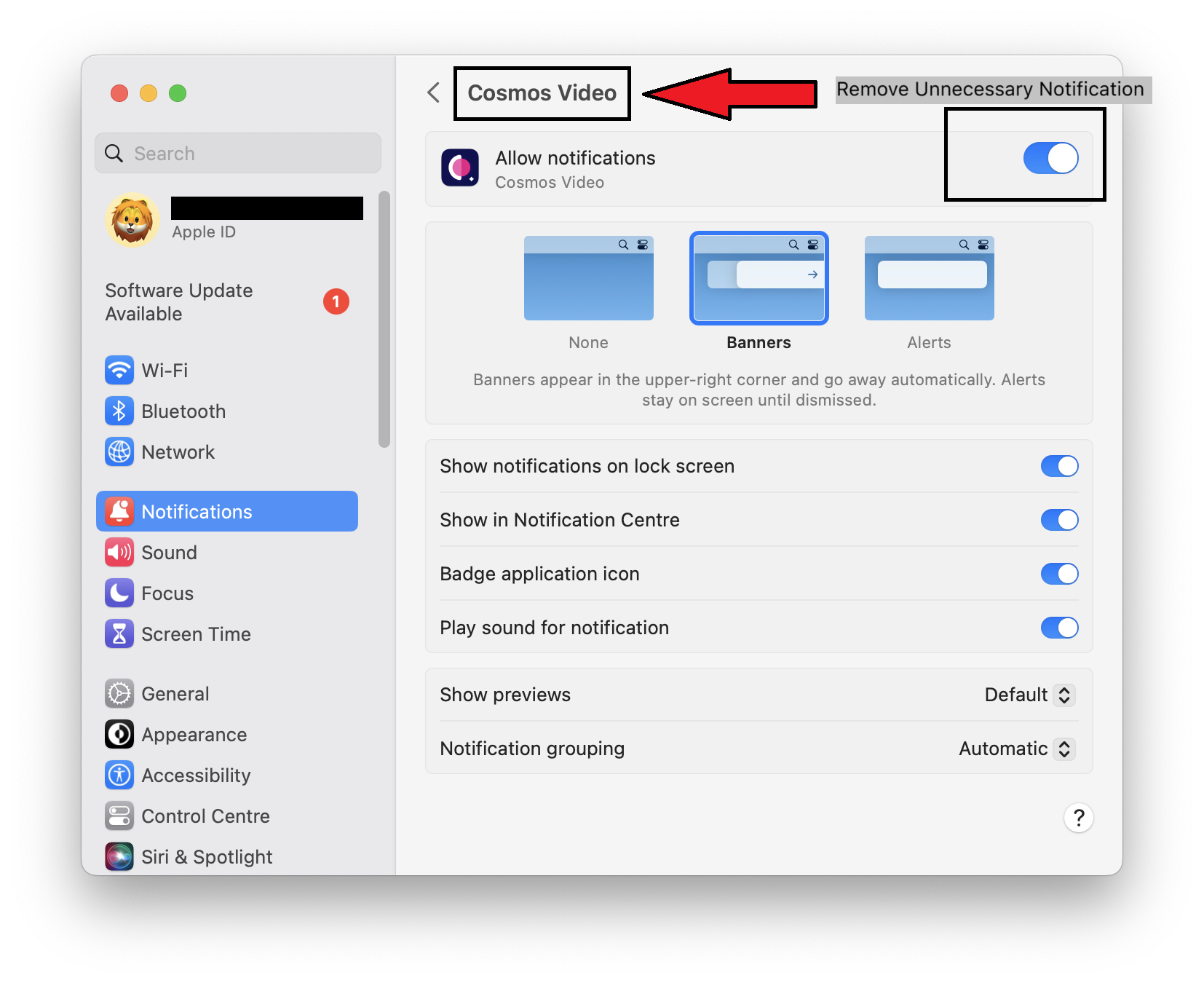 Preferences: Notifications
