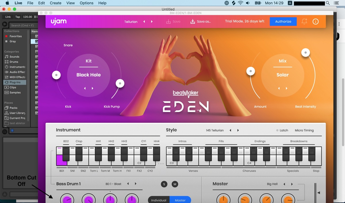 eden-windowed.jpg
