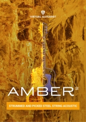 vg-amber2-packaging-s.jpg